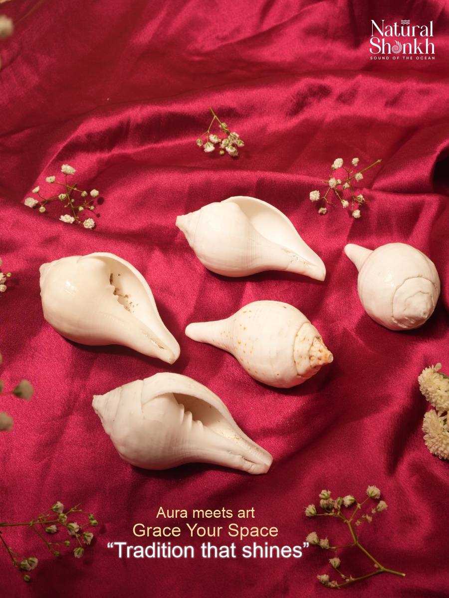 Vishnu-Puja Shankh Kit - Non Blowing