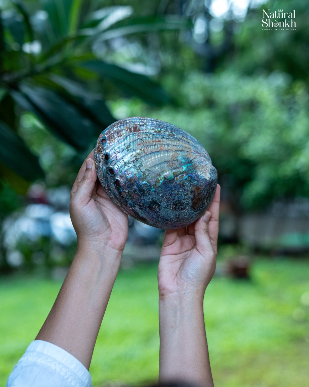 Abalone Seep