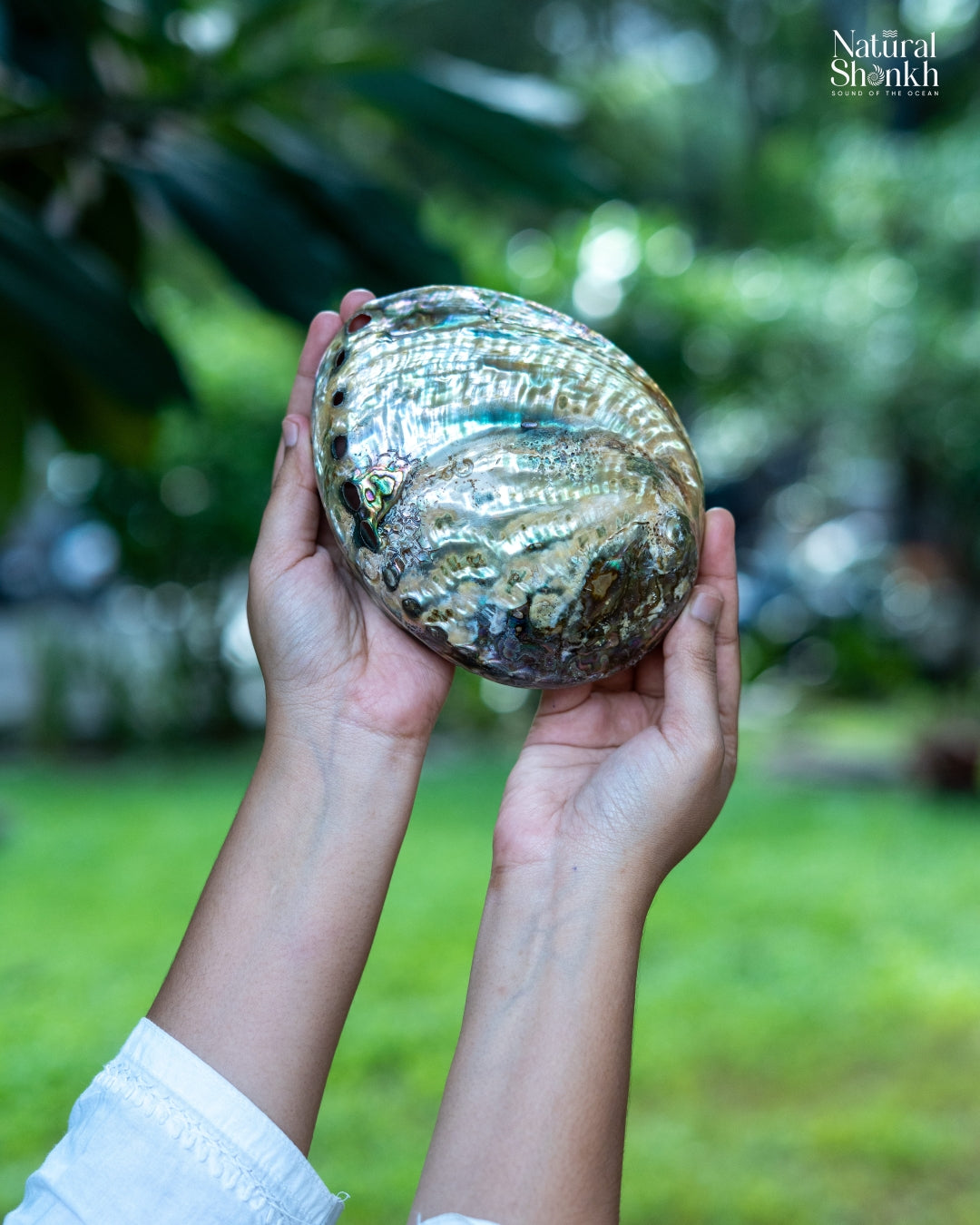 Abalone Seep