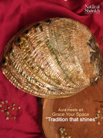 Abalone Seep