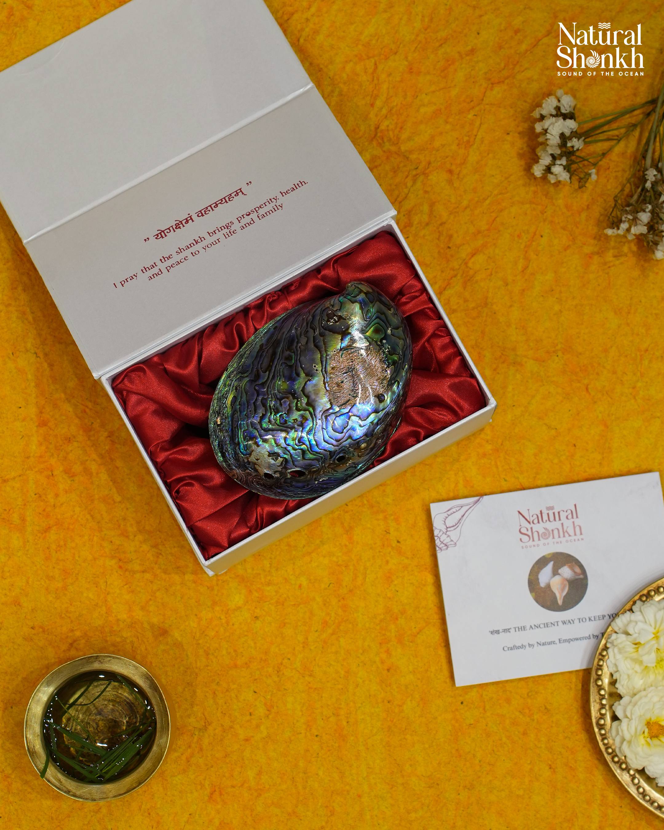Abalone Seep (Multi Colour)