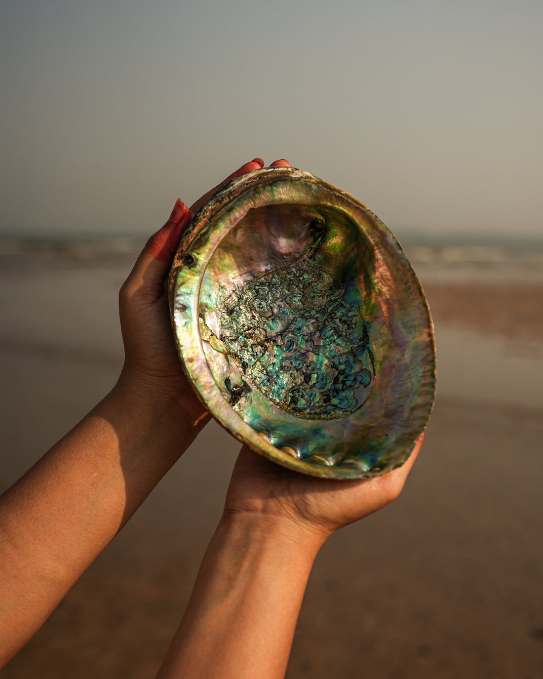 Abalone Seep