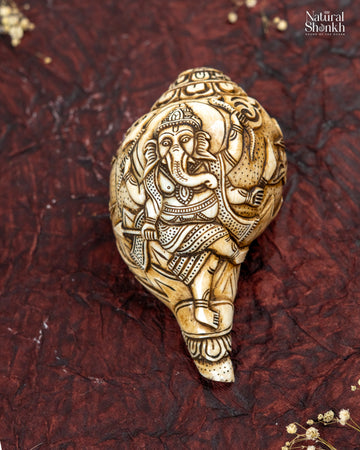 Ganesh Carved Shankh