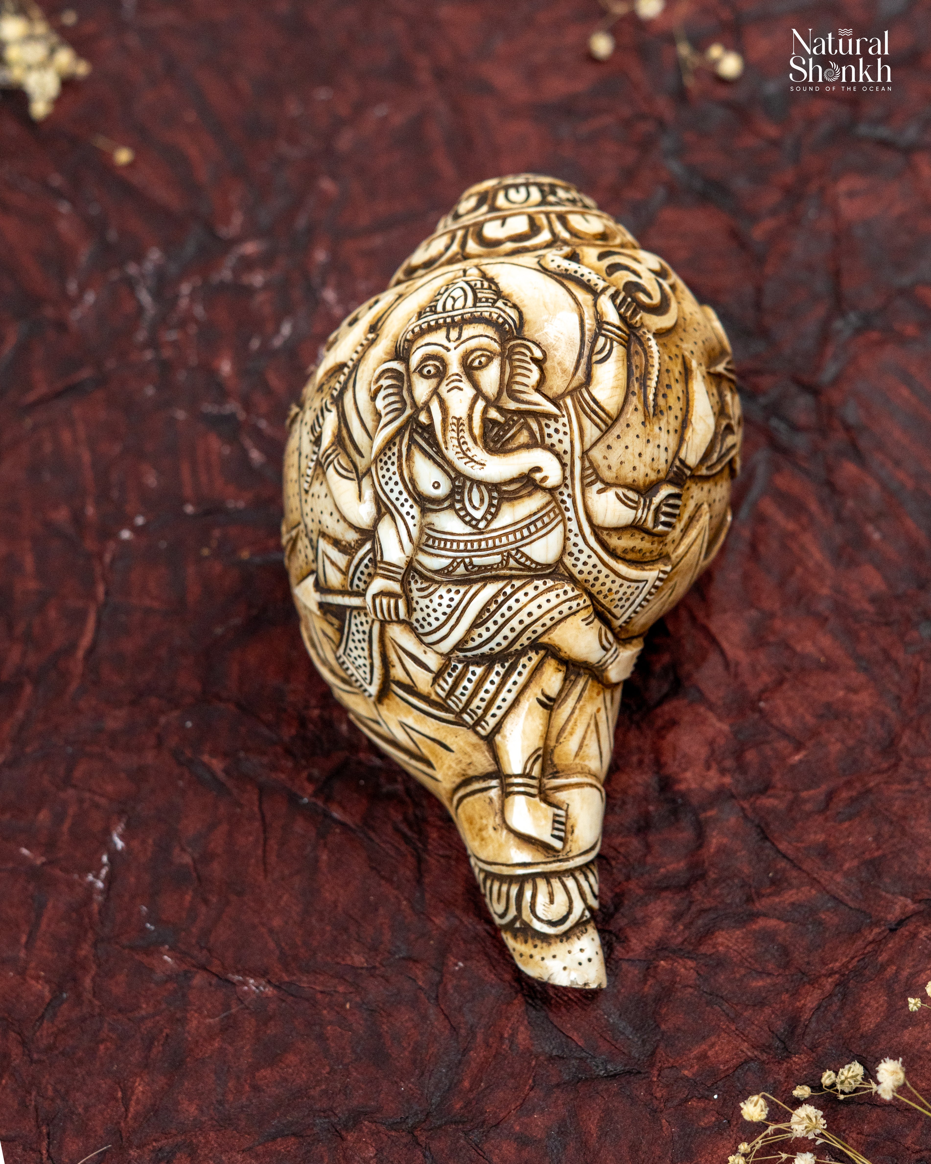 Ganesh Carved Shankh