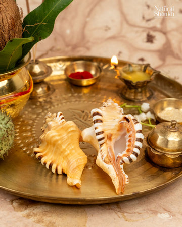 Ganesh Shankh