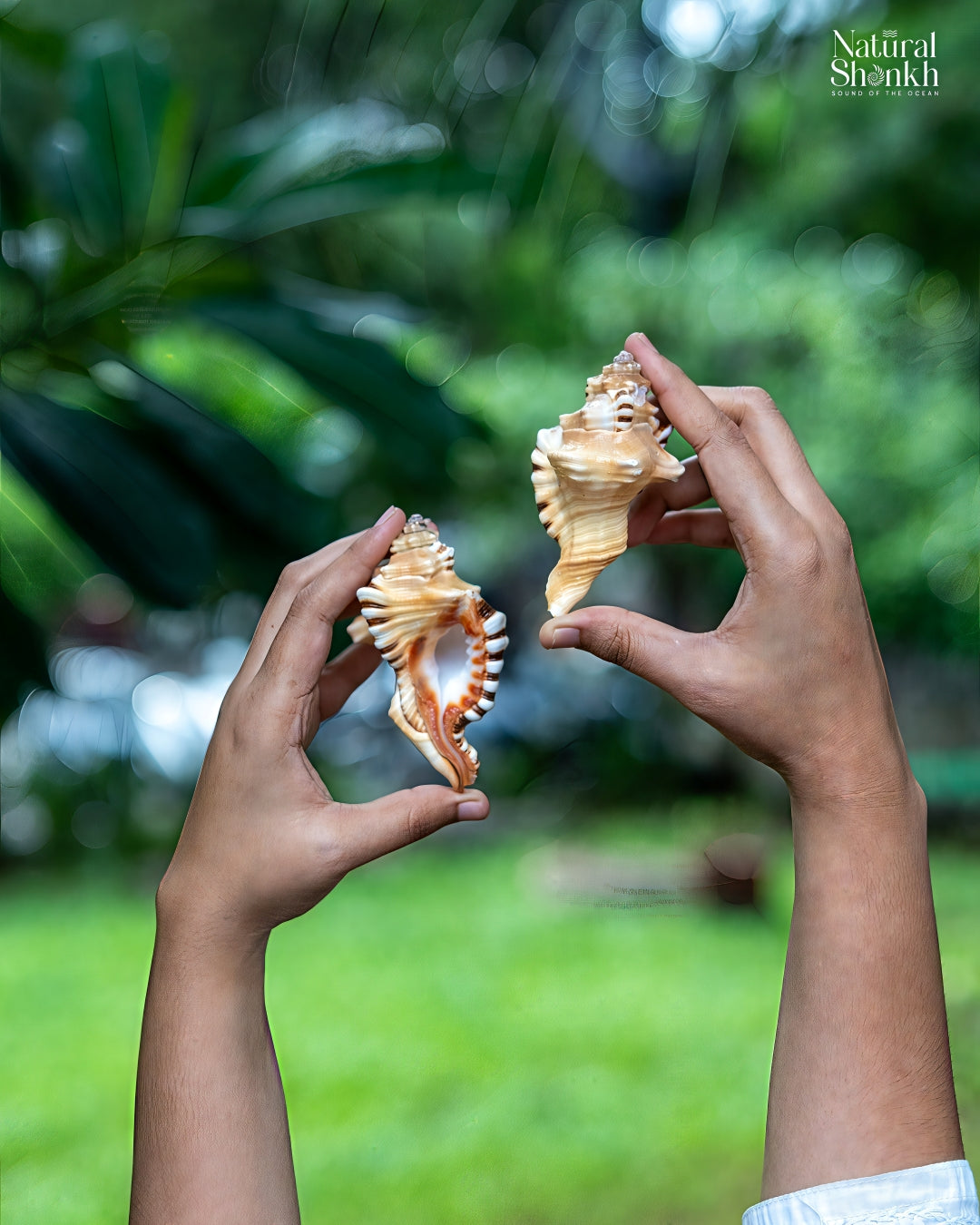Ganesh Shankh