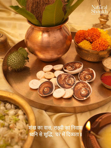 Gomti Kit (16 Nos)