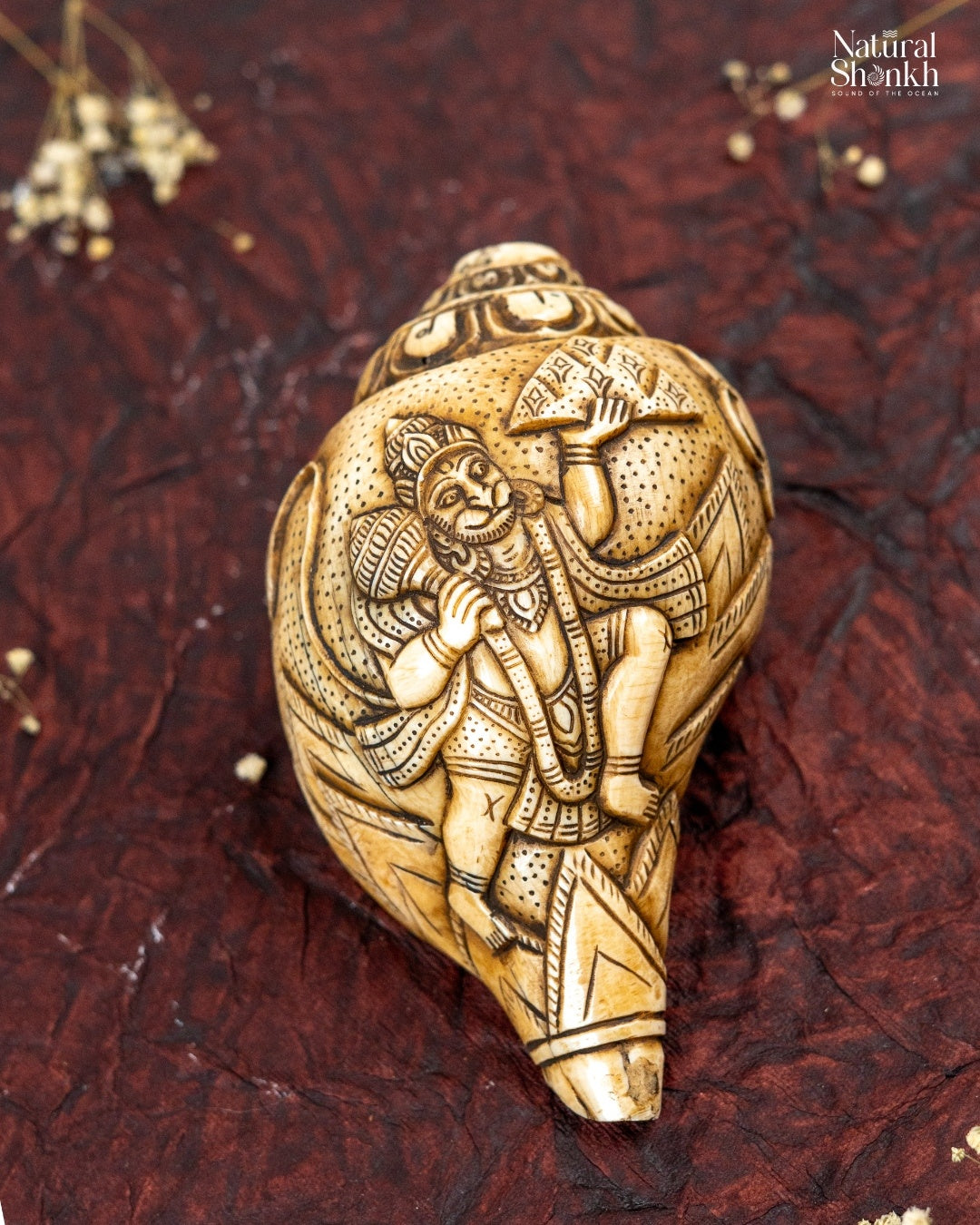 Hanuman Carved Shankh