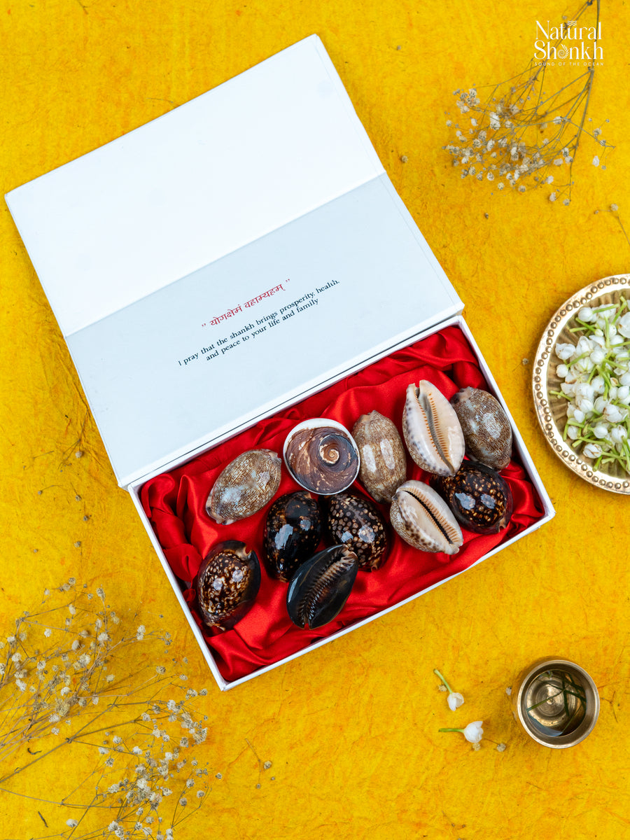 Lakshmi-Raj Lakshmi Kaudi Hamper (11 Nos)