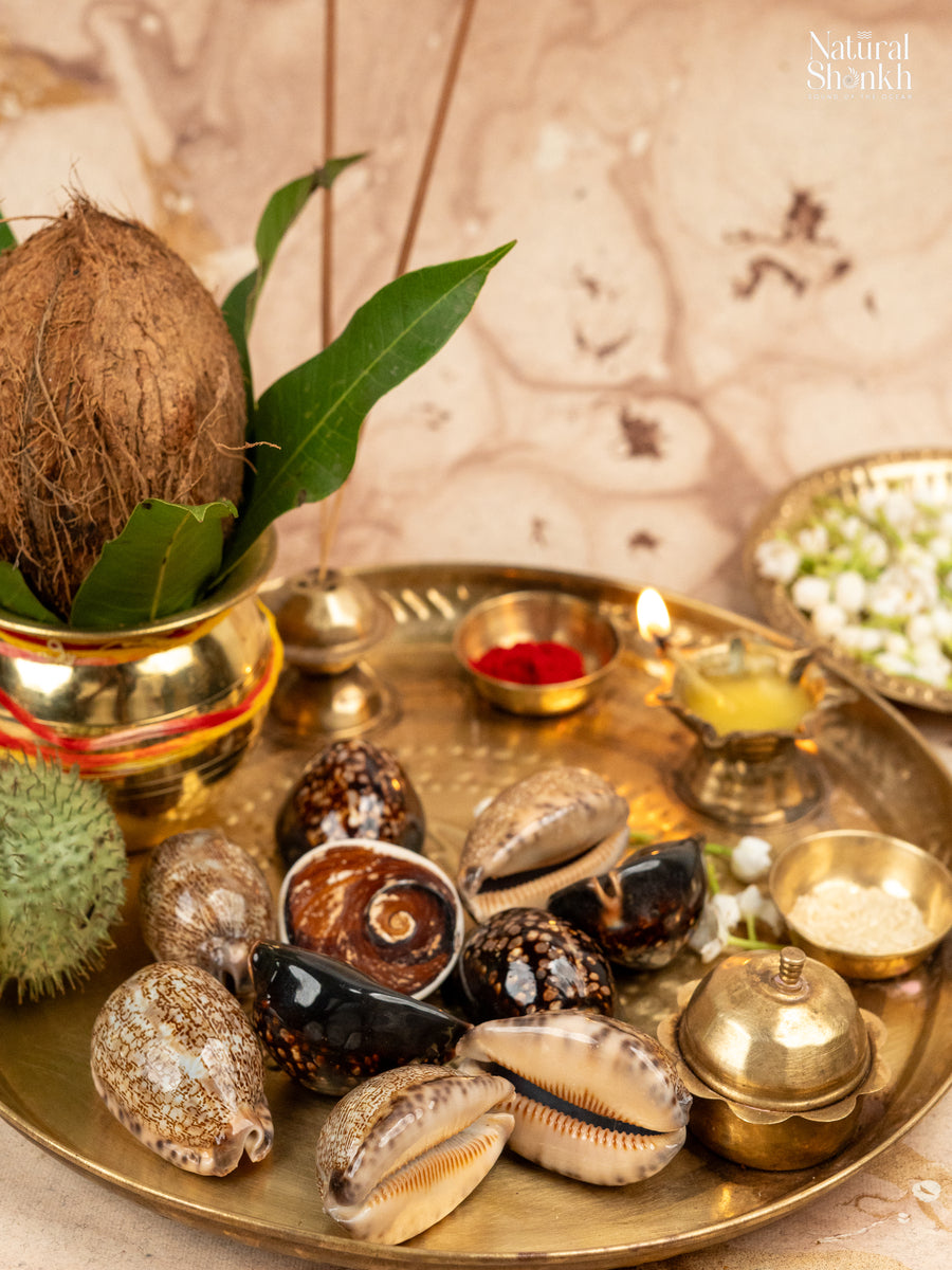Lakshmi-Raj Lakshmi Kaudi Hamper (11 Nos)