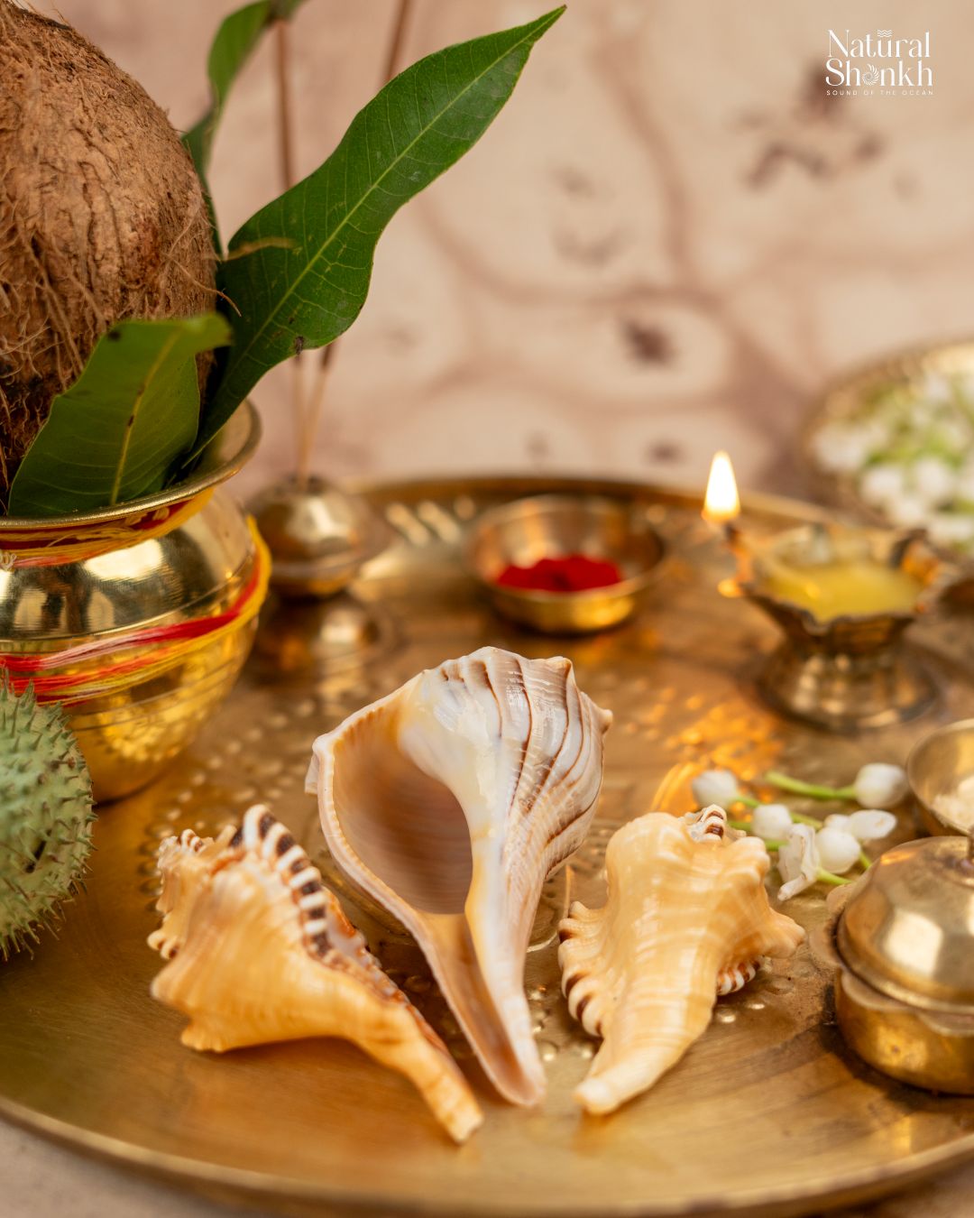 Lakshmi-Ganesh Kit (3 Nos)