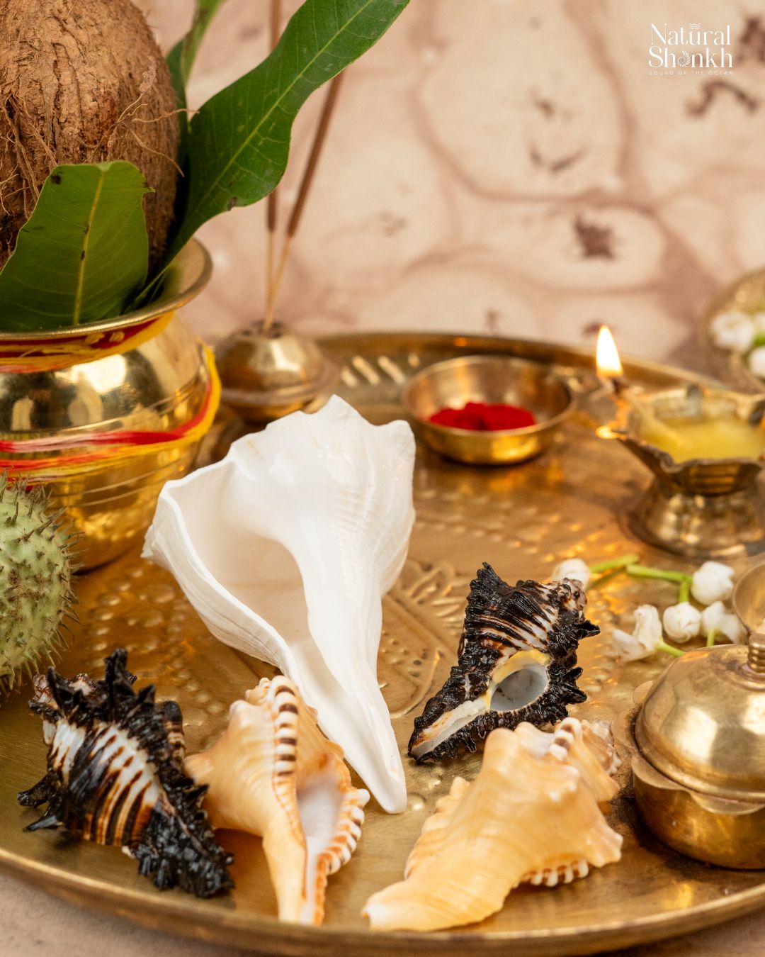 Lakshmi-Ganesh-Rahu Kit (5 Nos)