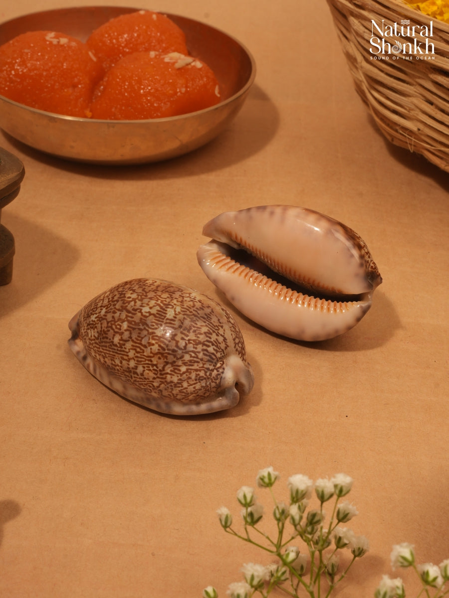 Lakshmi Kaudi (Pair)