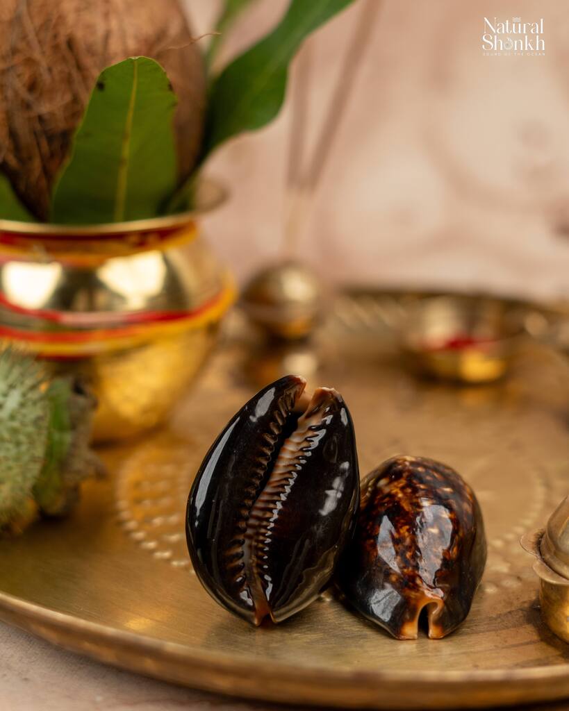 Raj Lakshmi Kaudi