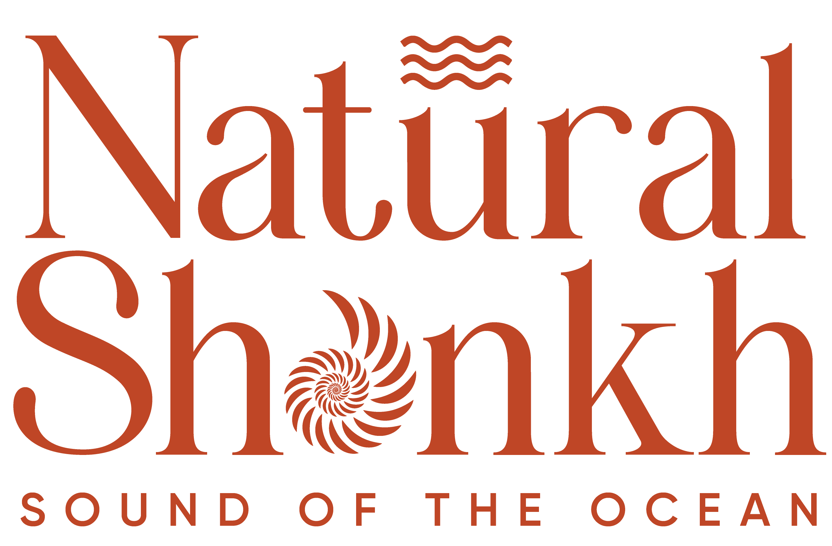 Natural Shankh