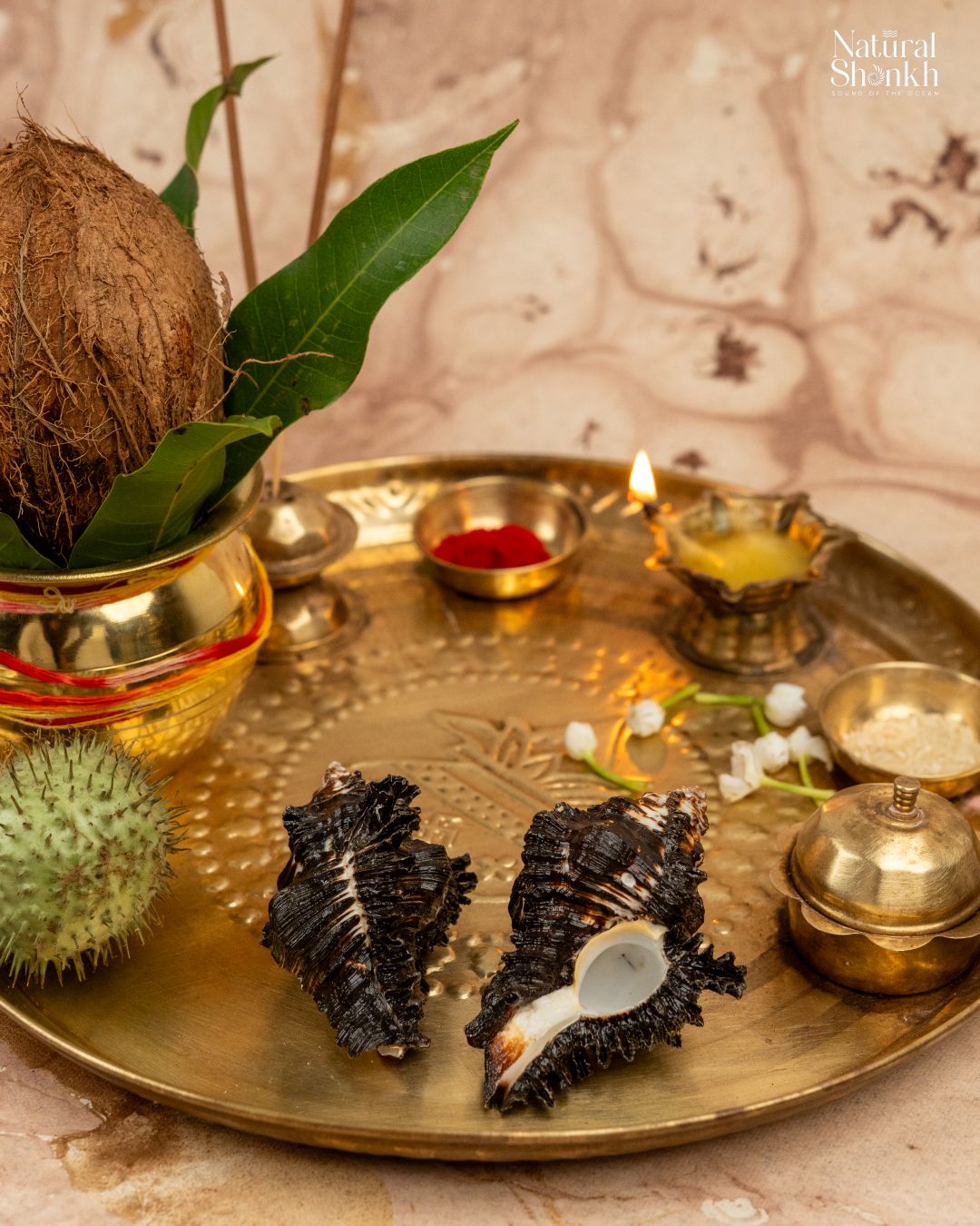 Shani Shankh