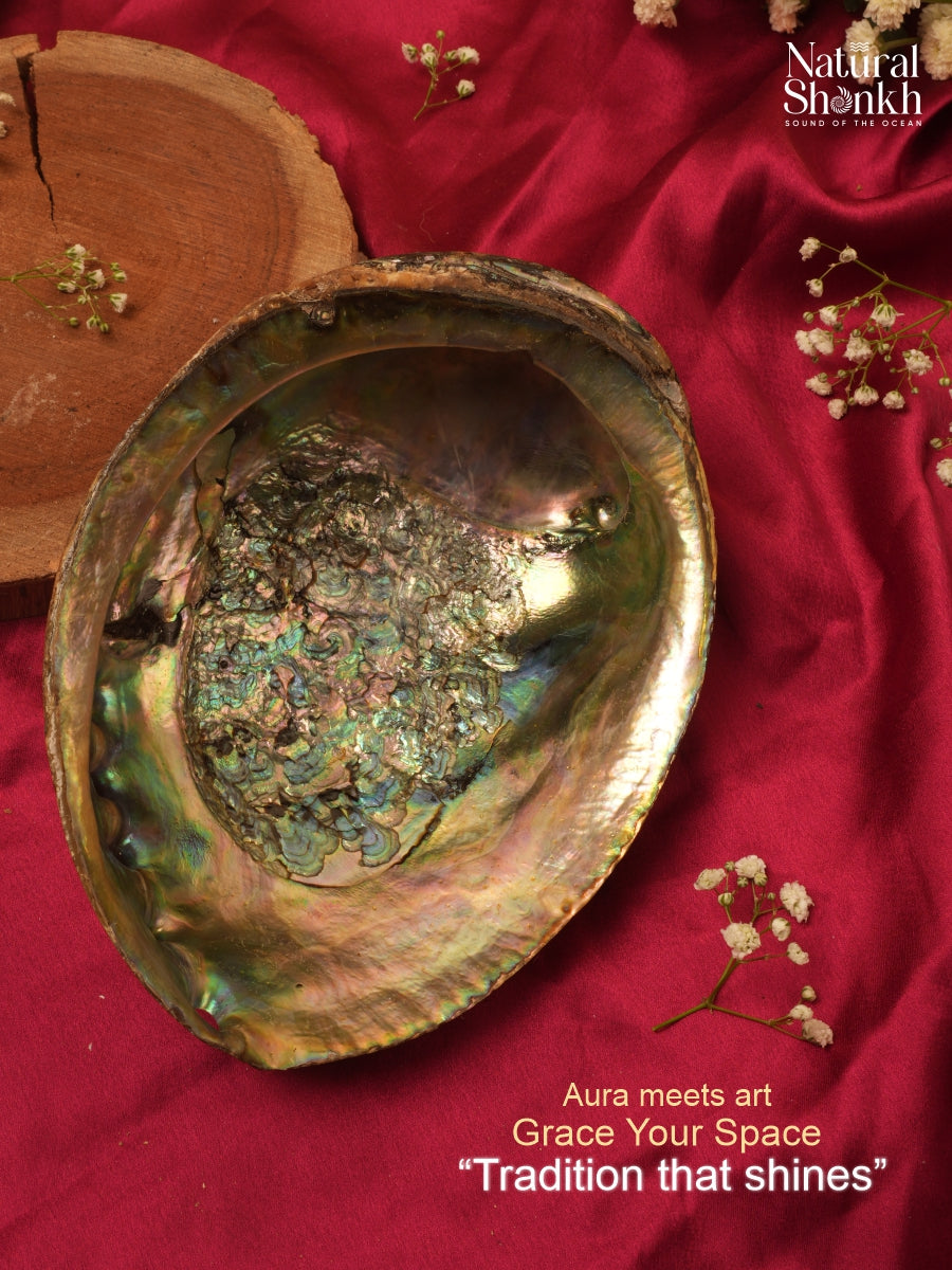 Abalone Seep