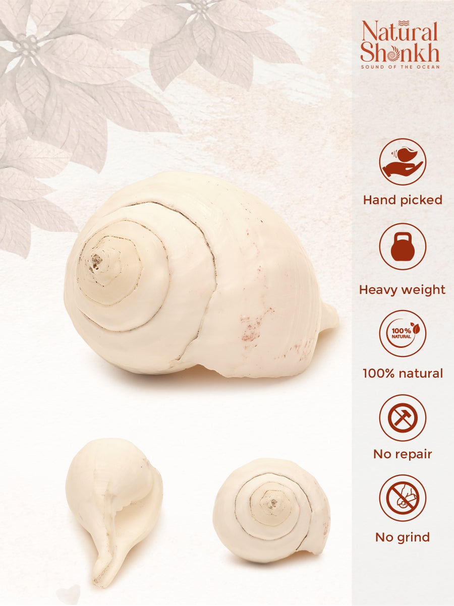Under The Rocks