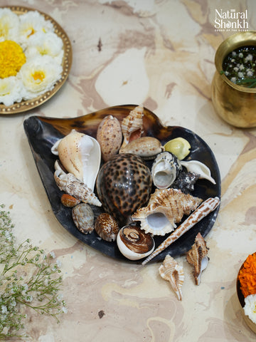 Vastu Dosha Box