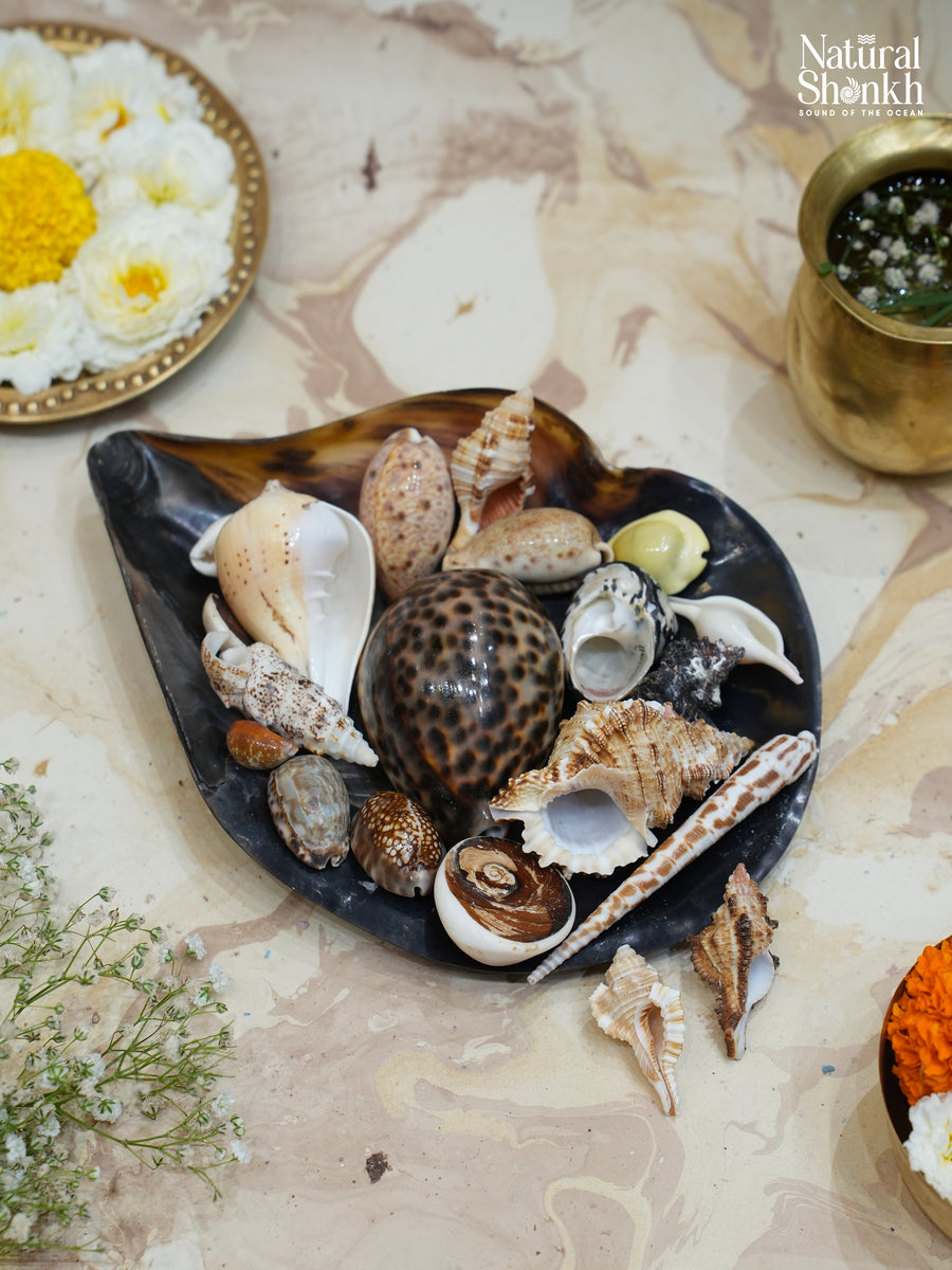 Vastu Dosha Box