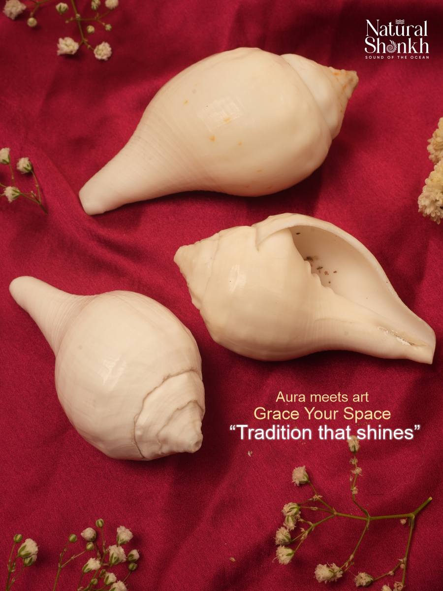 Vishnu-Puja Shankh Kit - Non Blowing