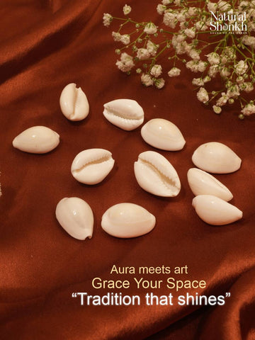 White Kaudi (11 Pcs)