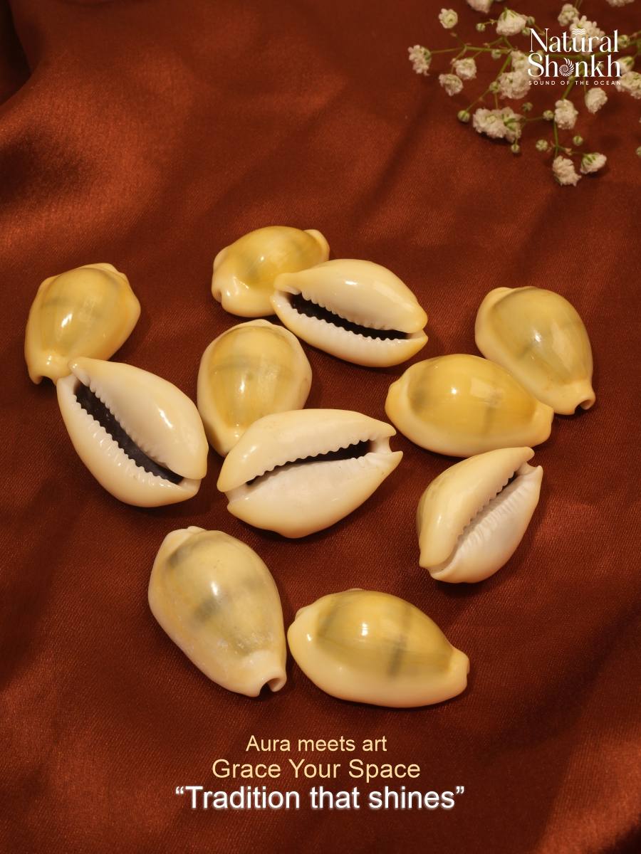 Yellow Kaudi (11 Pcs)