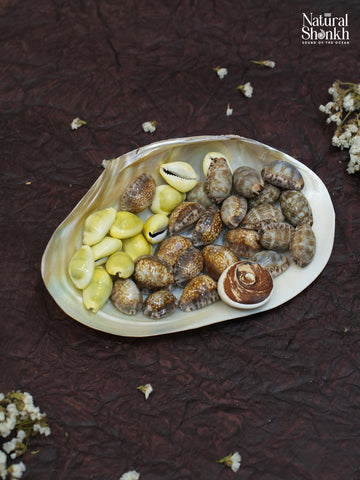 Lakshmi Nivaas Kaudi Hamper (34 Nos)
