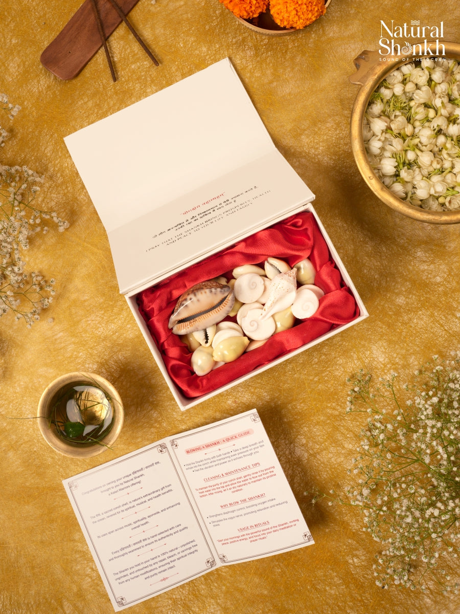 Goddess Lakshmi Puja Kit (25 Nos)