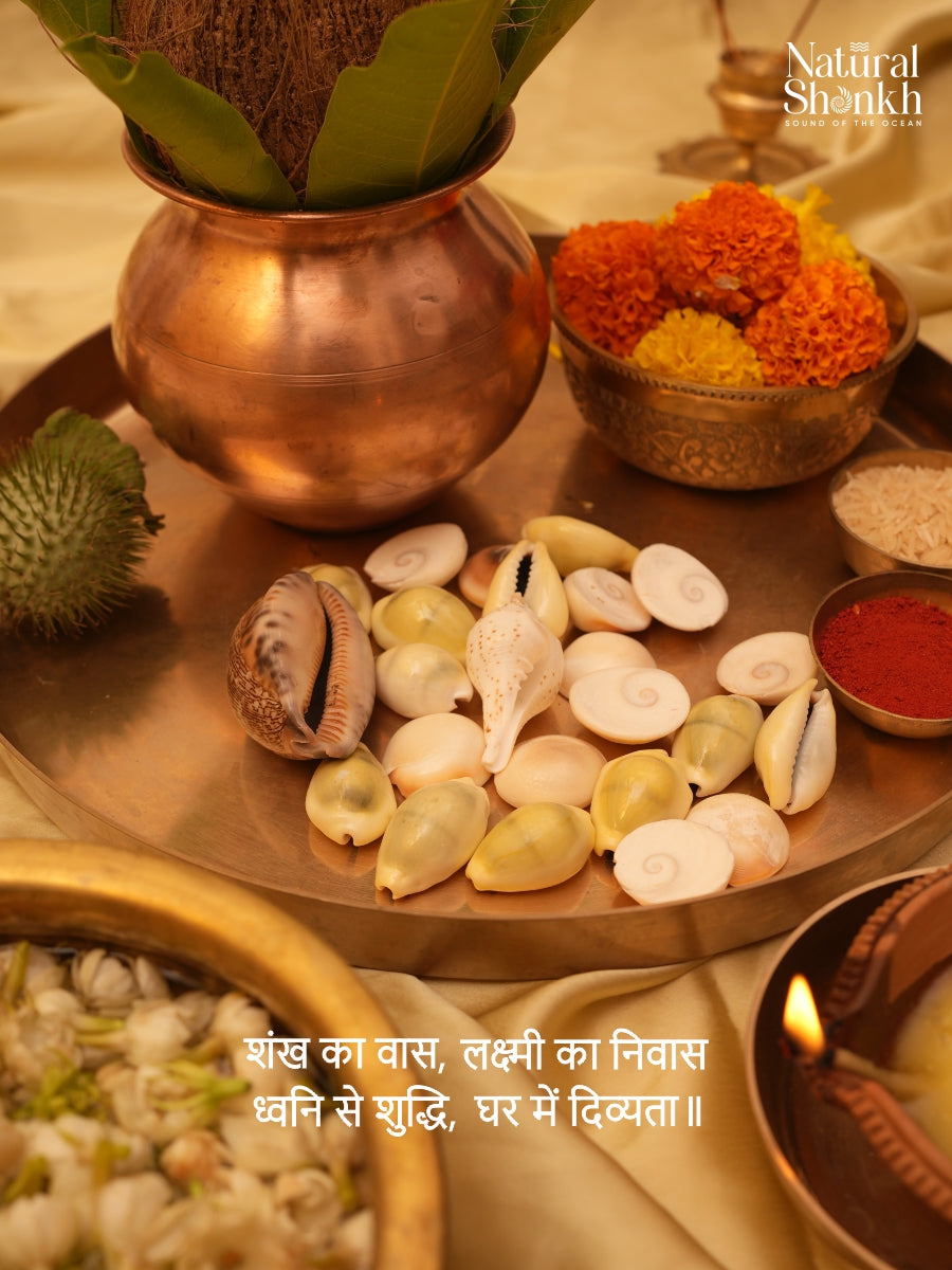 Goddess Lakshmi Puja Kit (25 Nos)