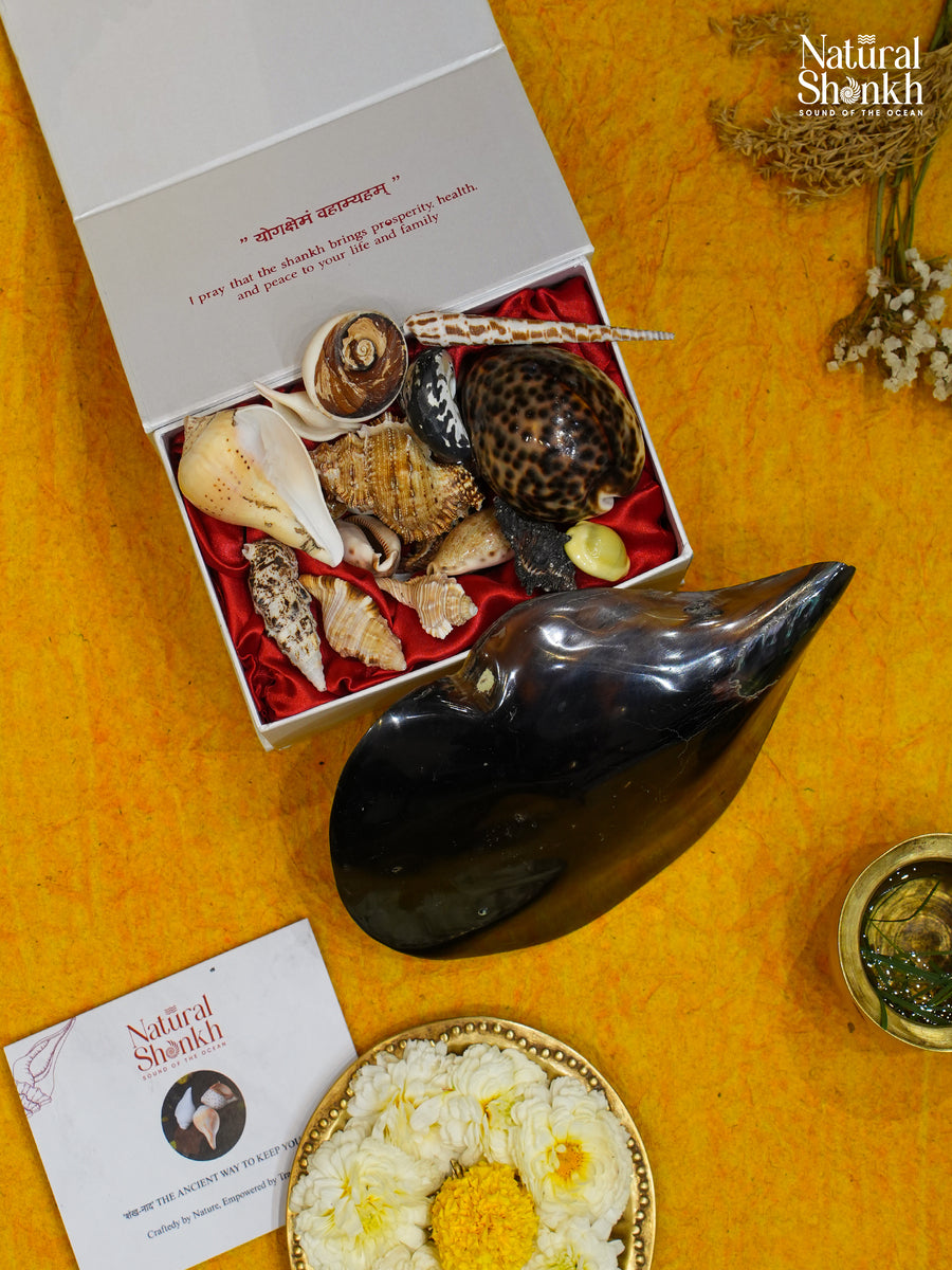 Vastu Dosha Box