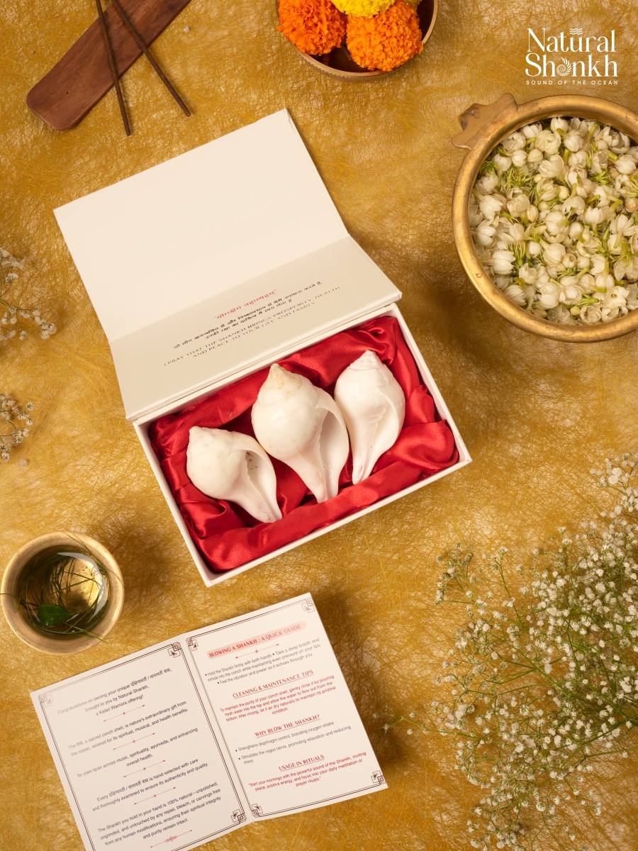 Vishnu-Puja Shankh Kit - Non Blowing