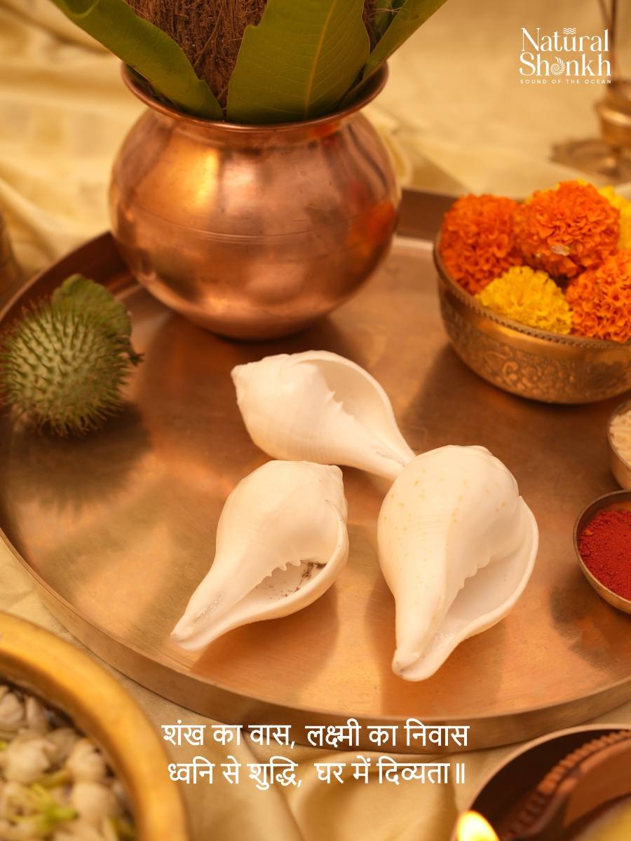 Vishnu-Puja Shankh Kit - Non Blowing