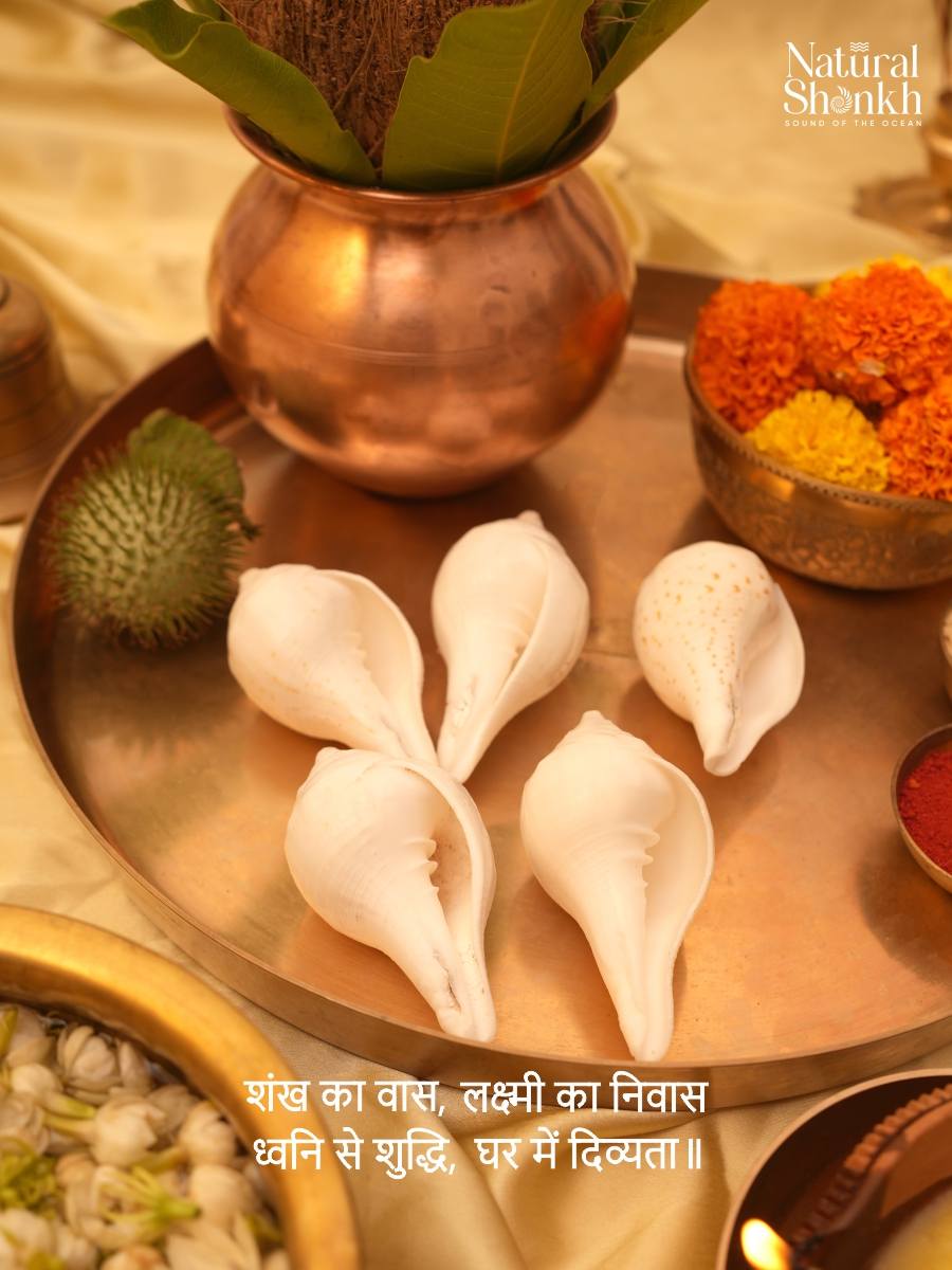Vishnu-Puja Shankh Kit - Non Blowing